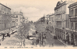 TUNIS - Avenue De France - Tunisie