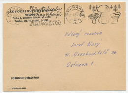 Cover / Postmark Czechoslovakia1961 Collect Mushrooms - Hongos