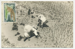 Maximum Card Malagasy 1960 Rice - Agriculture