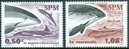 SAINT PIERRE AND MIQUELON 2004 MARINE MAMMALS** - Other & Unclassified