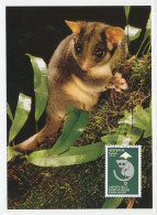 Maximum Card Australia 2009 Leadbeater S Possum - Lights Out - Earth Hour - Other & Unclassified