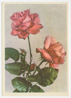 Postal Stationery Soviet Union 1958 Flower - Rose - Autres & Non Classés