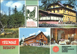 72116726 Tesinske Beskydy Hotel Tetrev Waldpartie Tschechische Republik - Czech Republic