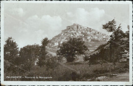 Cr386 Cartolina Palomonte Panorama Da Mezzogiorno Provincia Di Salerno - Salerno