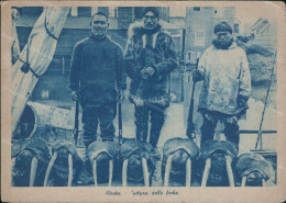 Cr379 Cartolina Alaska Cattura Dellle Foche Stati Uniti 1940 - Altri & Non Classificati