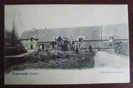 Cpa Averbode : La Ferme 1903 - Scherpenheuvel-Zichem