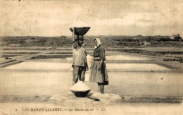 LA RECOLTE DU SEL - Guérande