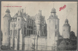 CPA CARTE POSTALE BELGIQUE LE CHÂTEAU DE VOSSELAER PUBLICITE MAGGI 1911 - Other & Unclassified