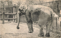 E506 PARIS Jardin Des Plantes L'éléphant - Parken, Tuinen