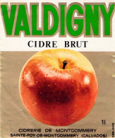 ALIMENTATION ETIQUETTES VALDIGNY CIDRE BRUT CIDREDRIE SAINTE FOY MONTGOMMERY 10 X 12 CM - Alcohols & Spirits