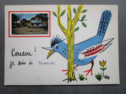 CP 24 Dordogne  - Humour  Oiseau " Coucou Je Suis à TAMNIES " Mini Photo Hôtel Restaurant LABORDERIE 1970 - Other & Unclassified