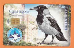 2001 Russia, Phonecard › Gray Crow - Jackdaw,20 Units,Col: RU-MG-TS-0233 - Rusia