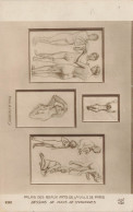 E524 PARIS Palais Des Beaux Arts Dessin De Chavannes - Other & Unclassified