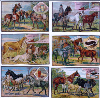 Série 6 Chromos Suchard Chevaux Et Chiens - Suchard