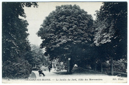 CHALONS-SUR-MARNE - Le Jardin Du Jard, Allée Des Marronniers - Châlons-sur-Marne