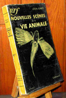 BINET Leon - NOUVELLES SCENES DE LA VIE ANIMALE - 1901-1940