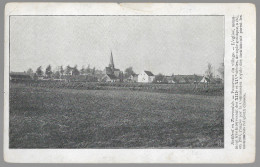 CPA CARTE POSTALE BELGIQUE BAILLEUL EN TOURNAISIS PANORAMA DU VILLAGE 1906 - Autres & Non Classés