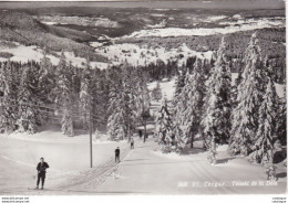 CPA  PHOTO 74   - SAINT CERGUES - Téléski De La Dôle - Saint-Cergues