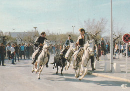 13 CAMARGUE  ABRIVADO - Sonstige & Ohne Zuordnung