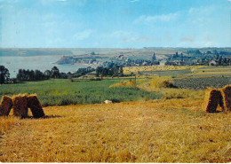 35 - Saint Suliac - Vue Sur Saint Suliac Et La Rance Prise Du Mont Garrot - Saint-Suliac