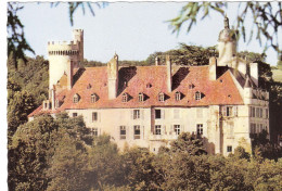 CPSM DU CHATEAU DE VEAUCE - Sonstige & Ohne Zuordnung