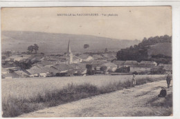 Meuse - Neuville-les-Vaucouleurs - Vue Générale - Autres & Non Classés