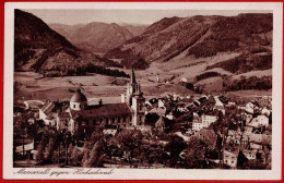 Mariazell Gegen Hochschwab. 1929 - Mariazell