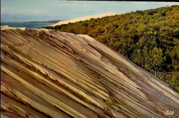 ARCACHON   ( GIRONDE )     AU PYLA , LES DUNES , LES PLUS HAUTES D ' EUROPE - Arcachon