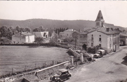 20756 Cpsm 63 Echandelys - Vue Sur La Forêt - Autres & Non Classés