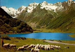 LE LAC D ' ESTAING       ( PYRENEES ORIENTALES )  SUR LA ROUTE D ' ARGELES AU COL D ' AUBISQUE - Autres & Non Classés