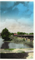 58 :  Cosne : Pont Sur La Loire   ///  Ref. Mai 24 ///  N° 29.778 - Cosne Cours Sur Loire