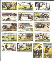 Z288 - SERIE COMPLETE 16 CARTES CAFES RICHS DANEMARK - JAGT - LA CHASSE - HUNTING SERIES - Thé & Café