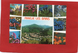 66----AMELIE LES BAINS---Vue Générale---multi-vues--voir 2 Scans - Autres & Non Classés