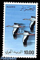 Algeria 1979 Airmail 1v, Mint NH, Nature - Birds - Storks - Unused Stamps