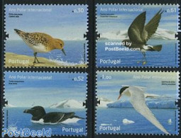 Portugal 2008 Int. Polar Year, Birds 4v, Mint NH, Nature - Science - Animals (others & Mixed) - Birds - The Arctic & A.. - Nuovi