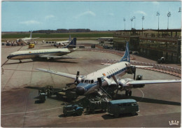 Groep Vliegtuigen - Sabena - & Airport - 1946-....: Ere Moderne