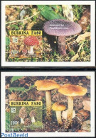 Burkina Faso 1996 Jamboree, Mushrooms 2 S/s, Mint NH, Nature - Sport - Mushrooms - Scouting - Hongos