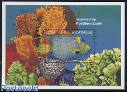 Nicaragua 1996 Angelfish S/s, Mint NH, Nature - Fish - Fische