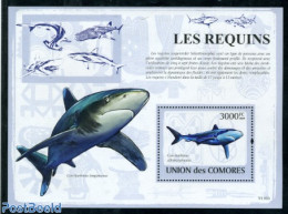 Comoros 2009 Sharks S/s, Mint NH, Nature - Fish - Sharks - Vissen