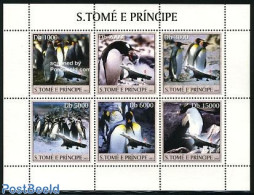 Sao Tome/Principe 2003 Penguin, Concorde 6v M/s, Mint NH, Nature - Transport - Birds - Penguins - Concorde - Aircraft .. - Concorde