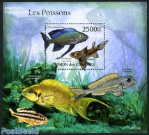 Comoros 2011 Fish S/s, Mint NH, Nature - Fish - Poissons