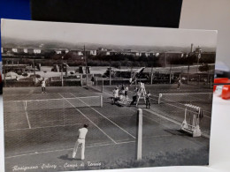 Cartolina Rosignano Solvay Provincia Livorno , Campi Da Tennis 1953 - Livorno