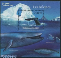 Comoros 2011 Whales S/s, Mint NH, Nature - Sea Mammals - Isole Comore (1975-...)
