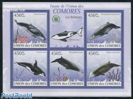 Comoros 2009 Whales 5v M/s, Mint NH, Nature - Sea Mammals - Isole Comore (1975-...)