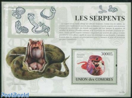 Comoros 2009 Snakes S/s, Mint NH, Nature - Snakes - Comoren (1975-...)