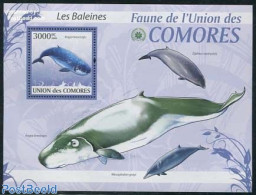 Comoros 2009 Whales S/s, Mint NH, Nature - Sea Mammals - Isole Comore (1975-...)