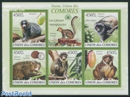Comoros 2009 Lemurs 5v M/s, Mint NH, Nature - Monkeys - Isole Comore (1975-...)