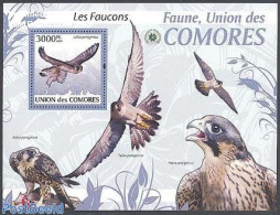 Comoros 2009 Falcons S/s, Mint NH, Nature - Birds - Birds Of Prey - Comoren (1975-...)