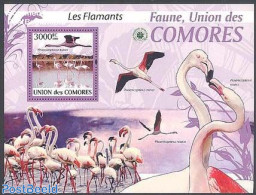 Comoros 2009 Flamingoes S/s, Mint NH, Nature - Birds - Isole Comore (1975-...)