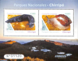 Costa Rica 2019 National Park Chirripo, Snakes S/s, Mint NH, Nature - Animals (others & Mixed) - National Parks - Natuur